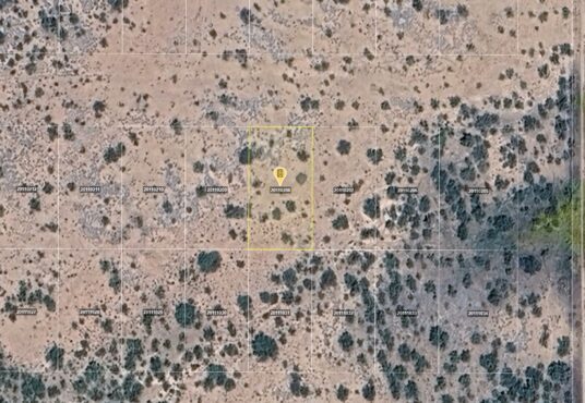 Willcox, AZ, 85643