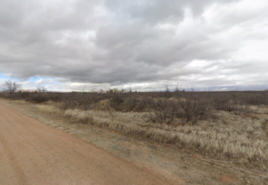 Willcox, AZ, 85643