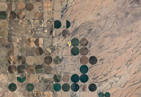 Willcox, AZ, 85643