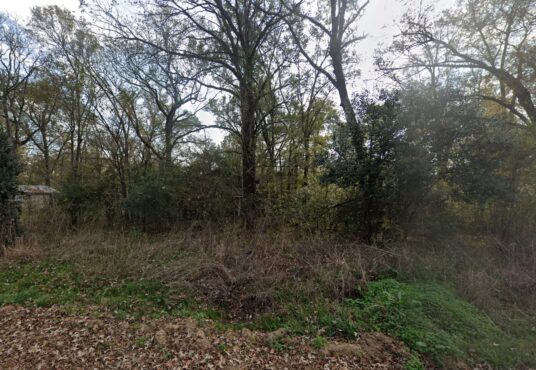 River St, Coldspring, TX, 77331
