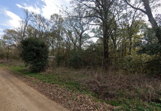 River St, Coldspring, TX, 77331