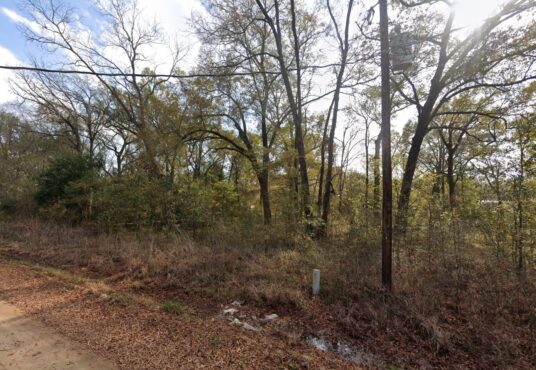River St, Coldspring, TX, 77331