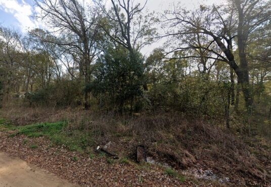River St, Coldspring, TX, 77331
