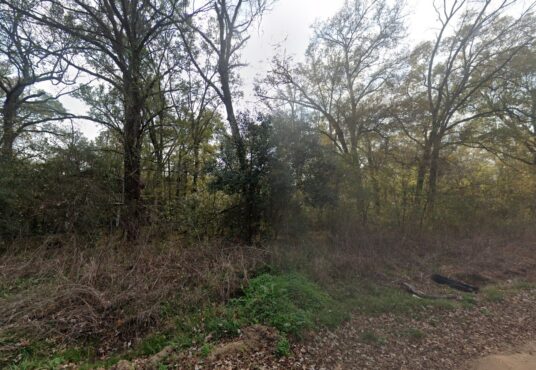 River St, Coldspring, TX, 77331