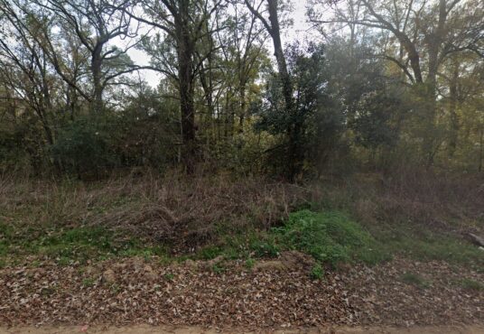 River St, Coldspring, TX, 77331