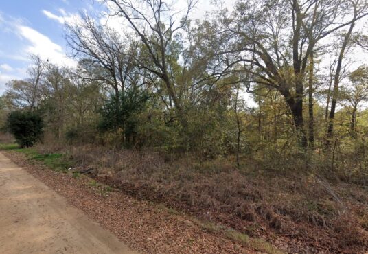 River St, Coldspring, TX, 77331