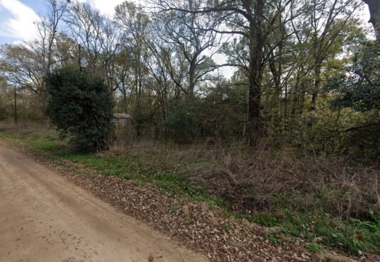 River St, Coldspring, TX, 77331